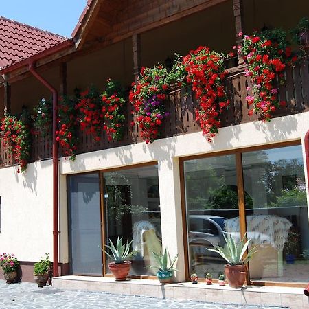 הורזו Pensiunea Casa Filoxenia מראה חיצוני תמונה