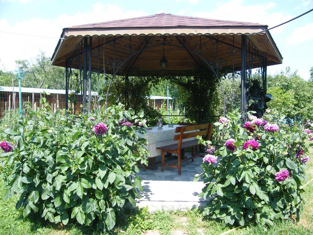 הורזו Pensiunea Casa Filoxenia מראה חיצוני תמונה