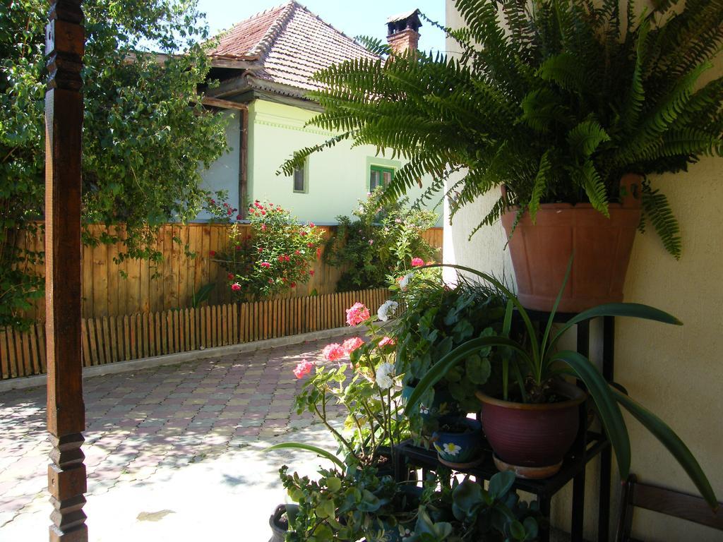 הורזו Pensiunea Casa Filoxenia מראה חיצוני תמונה