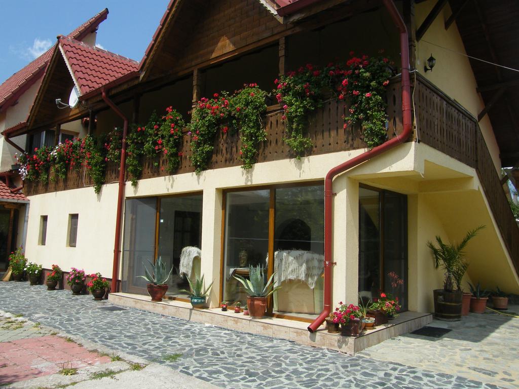 הורזו Pensiunea Casa Filoxenia מראה חיצוני תמונה