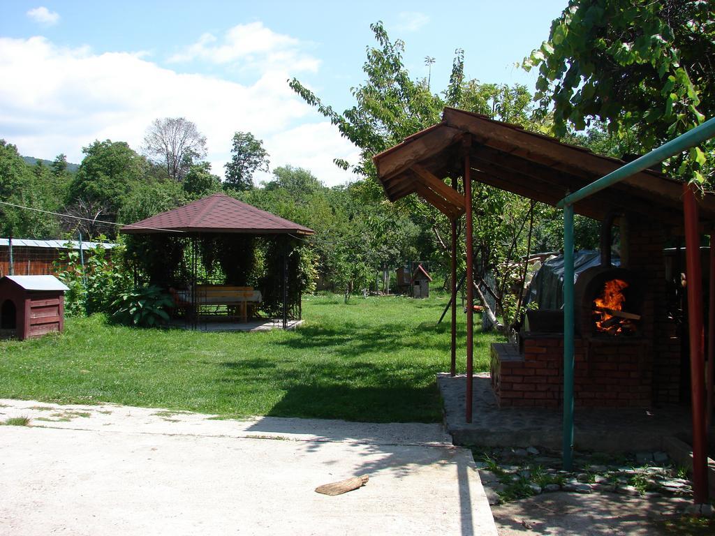 הורזו Pensiunea Casa Filoxenia מראה חיצוני תמונה