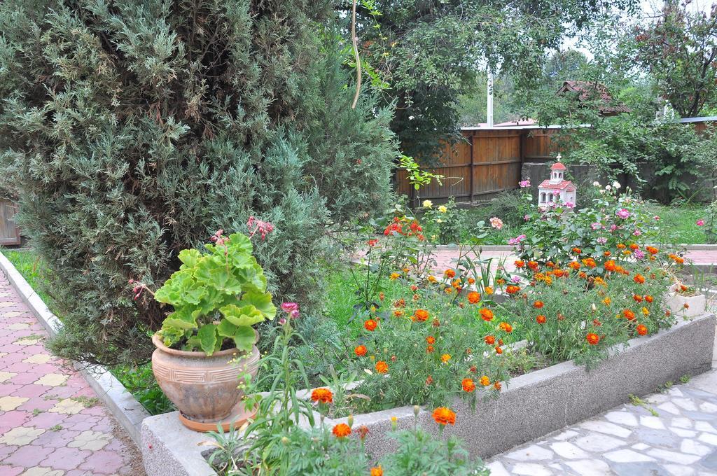 הורזו Pensiunea Casa Filoxenia מראה חיצוני תמונה