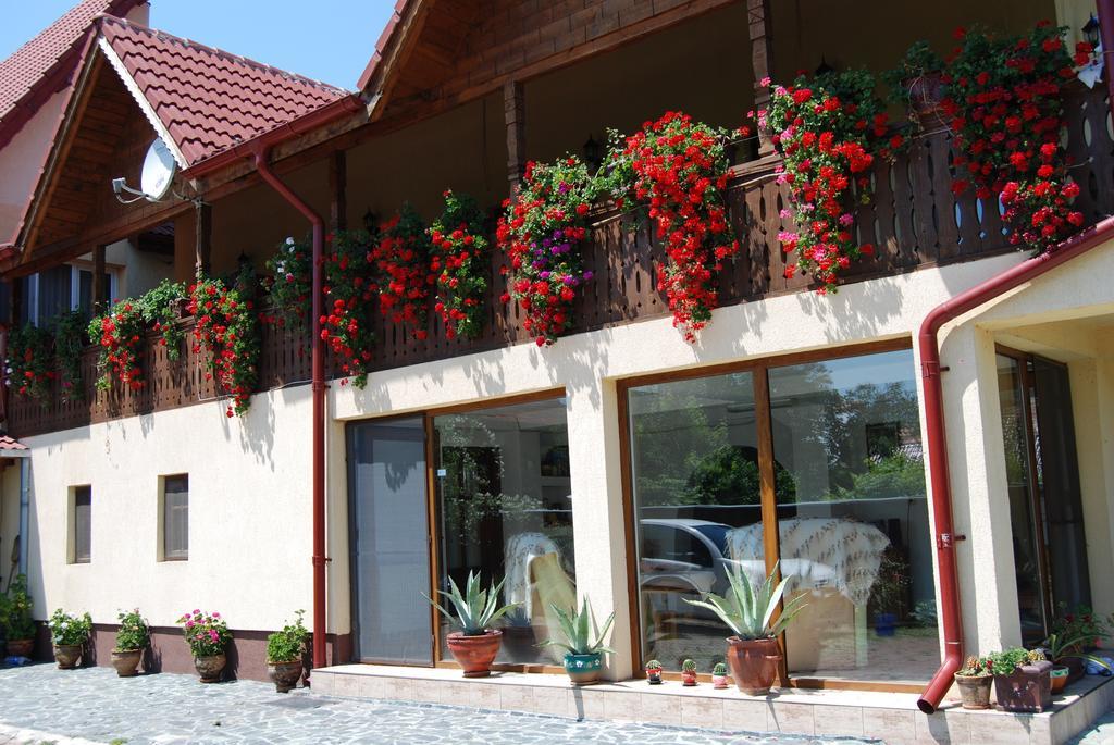 הורזו Pensiunea Casa Filoxenia מראה חיצוני תמונה